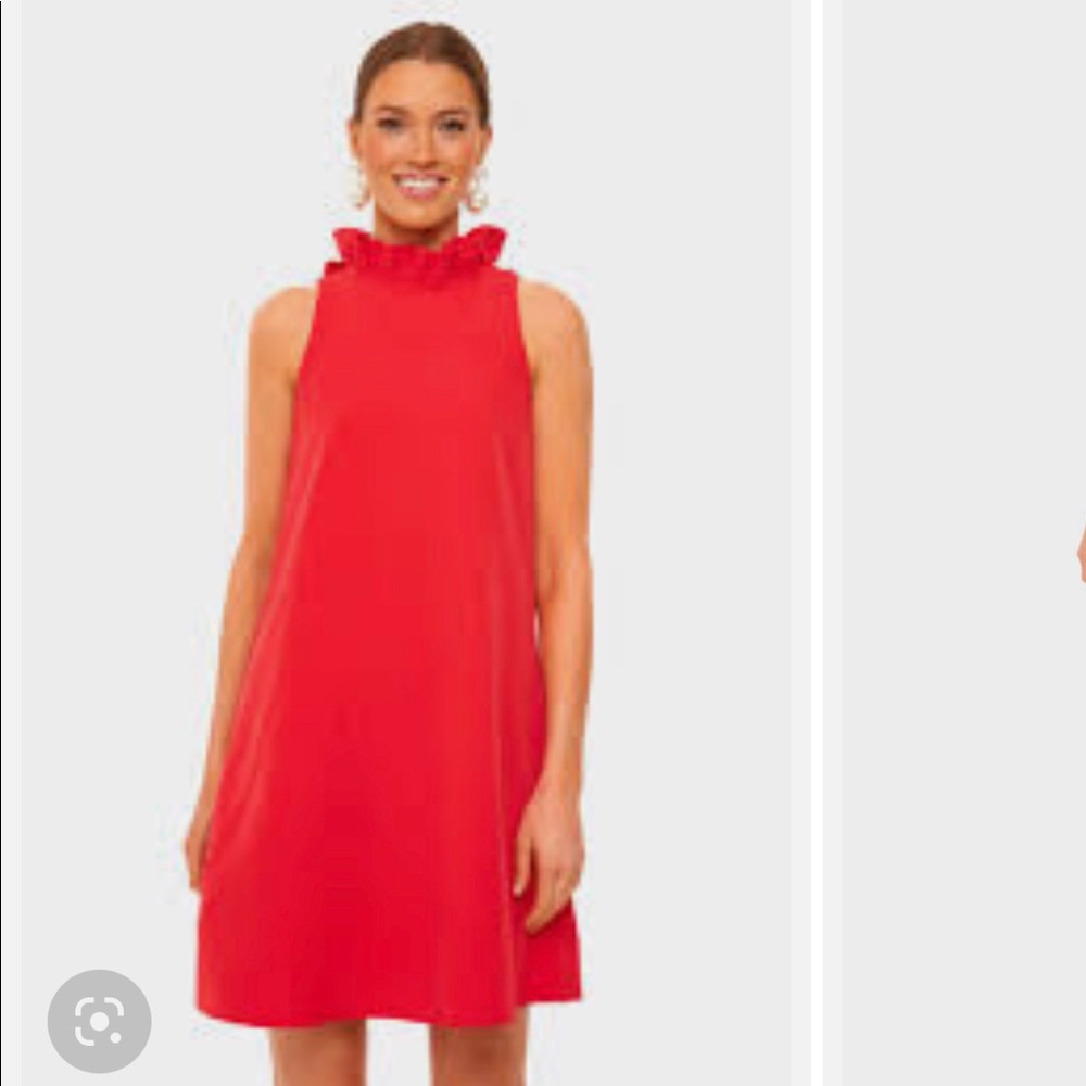Tuckernuck poppy red dress S